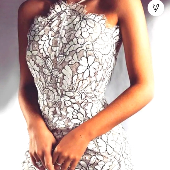 Delicate Darling Beige and Ivory Lace Bodycon Dress - Picture 3 of 12